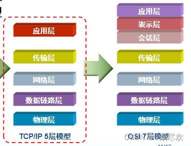 计算机网络01 基础概念,模型以及数据的封装与解封装