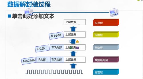 计算机网络参考模型