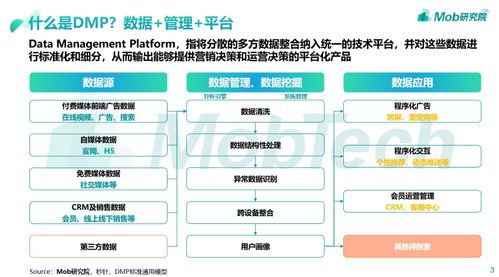 搞不懂dmp是什么 看这里就够了
