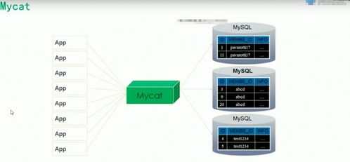 QNAP NAS 结合 MySQL 存储海量数据 分布式数据库与存储服务解决方案